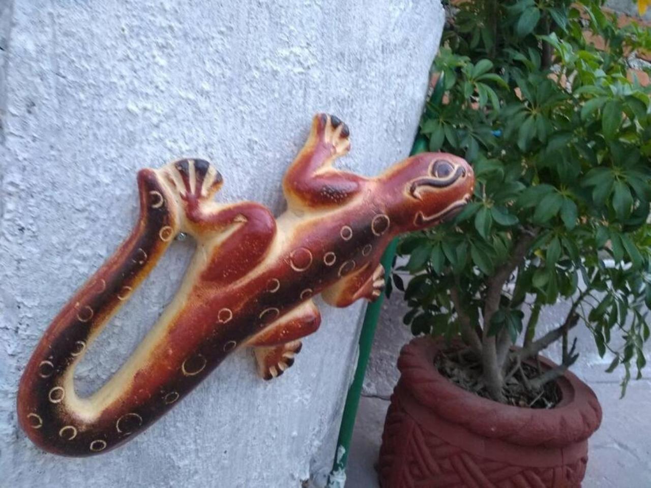 Casa Alebrijes Villa Текила Екстериор снимка